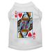 Halloween Pet Dog Cat Shirt Screen Printed Queen Of Hearts Costume