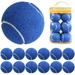 Prince 12 Packs Pressure Matching and Training Tennis Balls Totally Blank for Autographing Ideal for Tennis Ball Matching