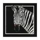 Zebra-print twill scarf (70 x 70)