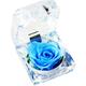 Bien conservé vraie rose boîte transparente parfumée rose éternelle cadeau fête des mères Saint
