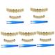 SOIMISS 5 Sets Jewelry Braces Teeth Grills for Cosplay Rhinestone Tooth Grills Tooth Jewelry Mouth Tooth Grills Mouth Teeth Grills Tooth Grills for Cosplay Gilded Zinc Alloy Decorate
