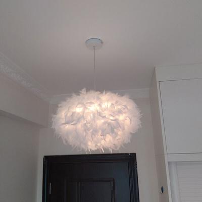 Axhup - Pendelleuchte, 1 Flammig Moderne Kronleuchter, Romantisch Hängelampe mit Ø45cm Feder Ball Image