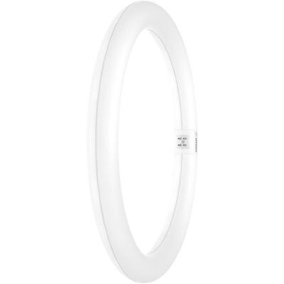 Osram - homelighting LED-Röhre eek: e (a - g) G10q Ringform 18.3 w = 32 w Neutralweiß (ø x l) 300 mm Image