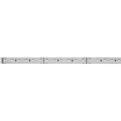 Paulmann MaxLED 500 70582 LED-Streifen-Erweiterung mit Stecker 24 V 1 m Tageslichtweiß 1 St.