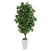 Silk Plant Nearly Natural 4.5 Ficus Artificial Tree in White Metal Planter