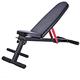 Weights Bench Adjustable Weight Benches, Foldable Workout Exercise Folding Fitness Strength Training Core Workout Training/Leg Exercise/Sit Up/Push Up,Black