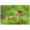 FREEAMG Mushroom with Snail in Grass On Green Spring Forest Jigsaw Puzzles 1000 Pieces Puzzle for Adults Kids DIY Gift