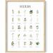 Haus and Hues Herb Pictures for Kitchen Wall Art - Kitchen Herbs Wall Art and Botanical Prints Herbs Art Kitchen Wall Art Herbs and Kitchen Art Cottage Core Decor (Beige Framed 12x16)