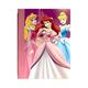 Disney Princess Notebooks - Princess Cinderella Ariel and Aurora Notebook (wide ruled 80 sheets ea)