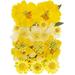 Natural Dried Flowers Mixed EC36 Multi-Color Pressed Flower Mini Rose Hydrangea Daisy for Art Craft DIY Resin Nail Art Floral Decors (Yellow)