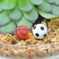 Micro-artisanat en plastique pour ballon de Football accessoires miniatures de décoration de jardin