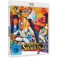 Meister der Shaolin 2 Limited Edition (Blu-ray Disc) - TG Vision