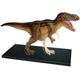 BENPCRD Study Model Educational Model Animal Anatomical Model Tyrannosaurus Anatomy Model Detachable 36 Parts Animal Dinosaur Organ Anatomy Teaching Model,Medical Models