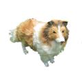 safindeng Plush Animal Toys Stuffed Simulation Animal Dog Real Life Plush Border Collie Simulation Plush Dog Toy Home Decor Supplies
