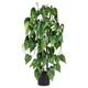 Fake Plants 76cm Artificial Plants Indoor in Black Pots Decorative Faux Pothos Plants Potted Large Floor Plant Tree Artificial Golden Devil's Ivy Vine Plant for Office Home Bathroom Outdoor Decor