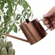 Mini arrosoir en acier inoxydable pour plantes de serre bouilloire d'arrosage pour jardinier