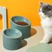 GROOMY Anti-Skid Bowl/Dish Porcelain/Stoneware (dishwasher safe)/Ceramic in Green | 5.5118 H x 6.6929 W x 6.6929 D in | Wayfair
