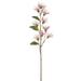 Allstate Floral & Craft 37.5 in. Lions Tail Artificial Flower Stem Spray Pack Pink - Pack of 12