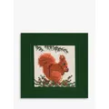 Textile Heritage Red Squirrel Counted Cross Stitch Card Kit