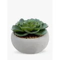 John Lewis Artificial Succulent in Round Cement Planter