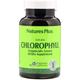 Nature's Plus, Natural Chlorophyll, 90 Vegetarian Capsules