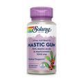 Solaray Mastic Gum 45 vegetable capsules