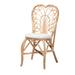 Jerica Modern Bohemian Natural Brown Rattan Dining Chair by Baxton Studio in Natural Brown Rattan