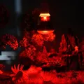 Amphibian Bird Salle Reptile Red Light Lampe chauffante de nuit Chauffage et isolation pour