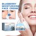 Blueek HOYGI Blueberry Moisturizing Face Cream Blueberry Moisturizing Face Cream Moisturizing Face Cream Best Moisturizer for Face 30g