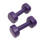 POPETPOP 1 Pair Small Dumbbell Fitness Dumbbells Kidcraft Playset Toys for Toddlers Boys Toy for Baby Puzzle Toys Exercise Dumbbell Kids Playset Yoga Miss Equipment Purple