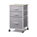 Rebrilliant Mendivil 3 Drawer Storage Drawer w/ Locking Wheels in Gray | 1 W in | Wayfair EE7EC15682F54D4683293E5781E0D794