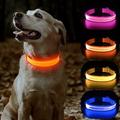 collier de chien led - collier de chien collier lumineux portable usb rechargeable colliers lumineux réfléchissants pour petits chiens de taille moyenne