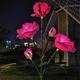 5 tête led solaire rose orchidée fleur lumière jardin extérieur étanche simulation pelouse lampe de mariage fête noël décor paysage lumière