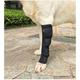 Protège-tibias pour chien blessure à la jambe pour animal de compagnie fixation articulaire anti-léchage sangles de récupération teddy golden retriever support de jambe couvre-pied