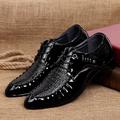 Homme Oxfords Chaussures habillées Motif crocodile Chaussures en cuir verni Chaussures pour reptiles Rétro Vintage Entreprise Classique Mariage Soirée Evénement Microfibre Respirable Lacet Noir Et