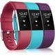 3 pièces Bracelet de montre connectée Compatible avec Fitbit Charge 2 Silicone souple Montre intelligente Sangle Doux Ajustable Élastique Bracelet Sport Remplacement Bracelet