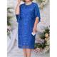 Robe mi-longue Femme Grande Taille Robe dentelle Manches 3/4 Eté Printemps Automne - Mode Soirée Moderne Dentelle Brodée Floral Feuille Fleur Col Ras du Cou Anniversaire Vacances Plage 2023 Bleu L XL