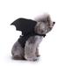 KANY Bat Wings For Dogs Pet Cat For Halloween Costume Decoration For Puppy Dog Cat Small Dogs Cats Halloween Party Halloween Costumes Dogs Pet Costume Bat Wings for Dogs Decor Supplies