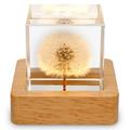 JTNero Dandelion Crystal Ball Night Light with Wooden Base USB Powered Fancy Crystal LED Night Light Crystal Ball Dandelion in Glass Night Lamp for Home