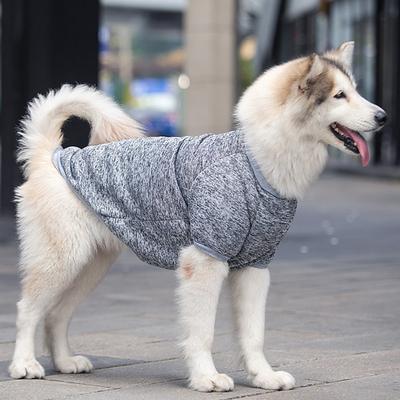 Dog Cat Sweatshirt Fashion Minimalist Winter Warm Breathable Soft Washable Comfortable Outdoor Casual Daily Dog Clothing for Bichon Frise Pomeranian Baby Pet Papillon Small