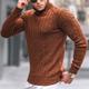 Men's Sweater Pullover Sweater Jumper Turtleneck Sweater Ribbed Cable Knit Cropped Knitted Solid Color Turtleneck Keep Warm Modern Contemporary Work Daily Wear Clothing Apparel Fall Winter Wine
