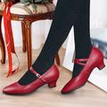 Women's Heels Pumps Slip-Ons Mary Jane Vintage Shoes Comfort Shoes Party Outdoor Daily Kitten Heel Round Toe Elegant Vintage Fashion Leather Cowhide Buckle Ankle Strap Silver Dark Red Black