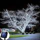 Outdoor Solar LED String Lights 10/20/30/50/100m Waterproof Christmas String Lights Festive Lighting Outdoor Tree Lights Wedding Party Christmas Tree Garden Outdoor Flower Street House Decoration