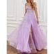 A-Line Prom Party Dress See Through Dress Formal Prom Sweep / Brush Train Sleeveless Sweetheart Tulle Backless with Beading Slit Appliques 2024