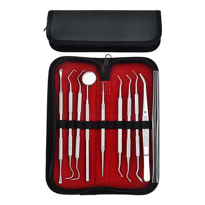 9 Pcs Set Stainless Steel Dental Cleaning Tools Oral Care Tools Dental Calculus Cleaning Dental Stains Tartar Care Tools