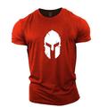 Men's T shirt Tee Tee Casual Style Classic Style Cool Shirt Graphic Spartan Round Neck Clothing Apparel Print Plus Size Gym Short Sleeve Designer Vintage Classic Casual