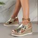 Women's Sandals Wedge Sandals Platform Sandals Ankle Strap Sandals Wedding Outdoor Solid Color Summer Wedge Heel Elegant Fashion Minimalism PU Buckle Silver Gold