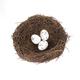 4 Sizes Artificial Rattan Bird Nest with Eggs Holder DIY Handmade Birdcage Easter Window Decor Birdhouse Eggs Storage Basket