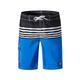 Men's Bathing Suit Board Shorts Swim Shorts Swim Trunks Summer Shorts Drawstring with Mesh lining Elastic Waist Stripe Print Breathable Quick Dry Knee Length Casual Holiday Beach Fashion Classic Style