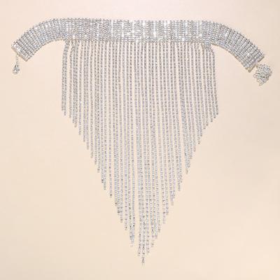 Chain Necklace Rhinestones Women's Luxury Tassel Tassel Fringe Cool Drops Necklace For Wedding Party Club
